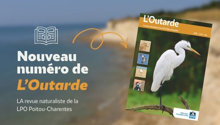 En forêt, sur la plage, dans les champs... lisez L'Outarde !